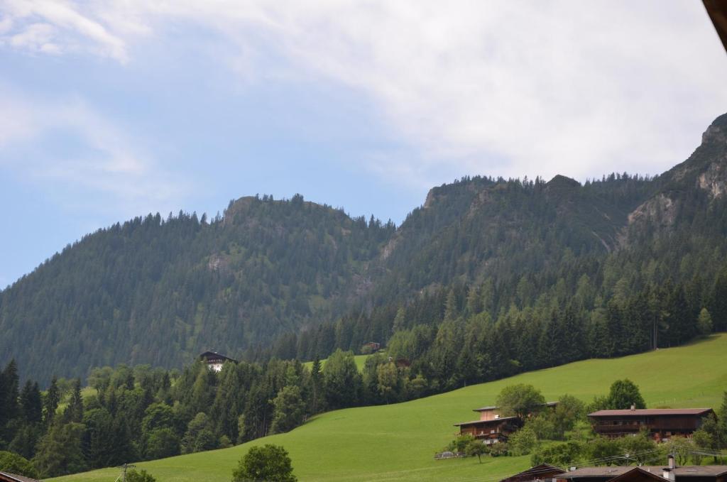 Apartment Leirer Alpbach